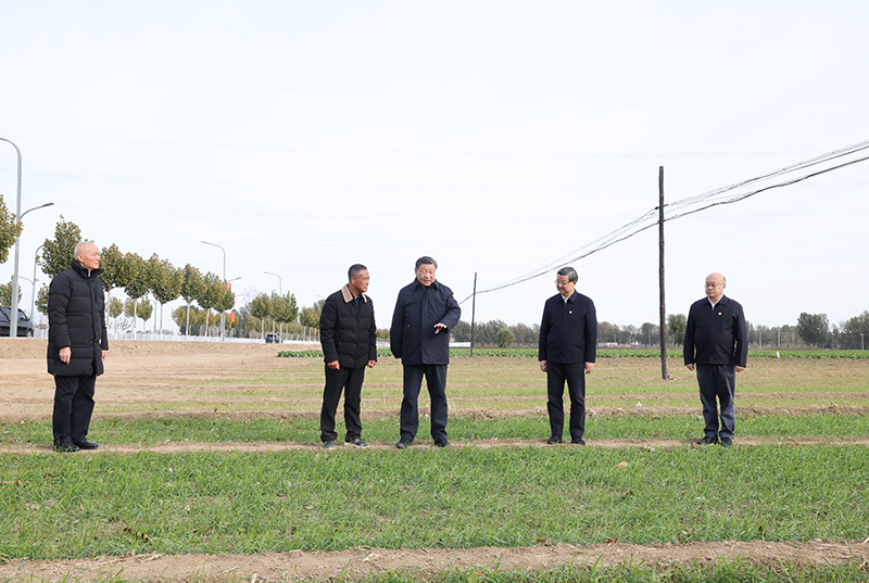 厕所偷拍在北京河北考察灾后恢复重建工作时强调 再接再厉抓好灾后恢复重建 确保广大人民群众安居乐业温暖过冬