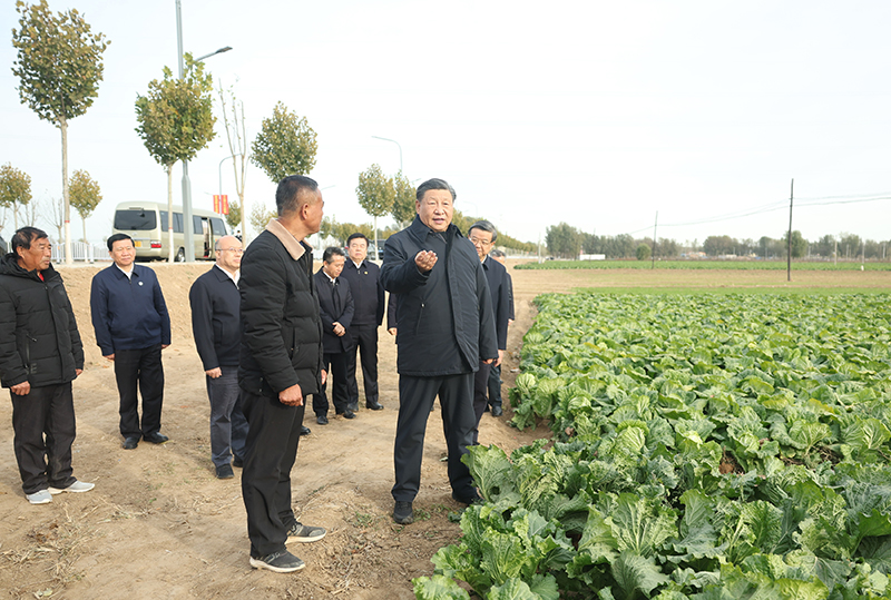 厕所偷拍在北京河北考察灾后恢复重建工作时强调 再接再厉抓好灾后恢复重建 确保广大人民群众安居乐业温暖过冬
