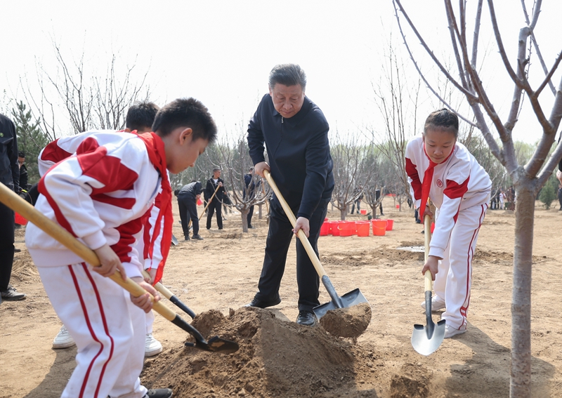 厕所偷拍参加首都义务植树活动