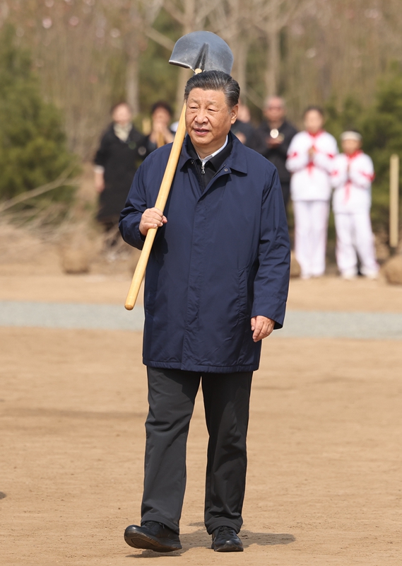 厕所偷拍参加首都义务植树活动