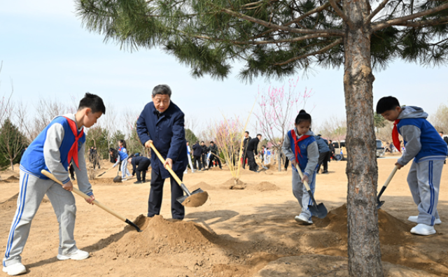 厕所偷拍在参加首都义务植树活动时强调：汇聚共建美丽中国磅礴力量 让祖国大地更加绿意盎然生机勃发